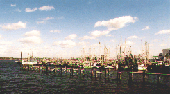 Biloxi Harbour